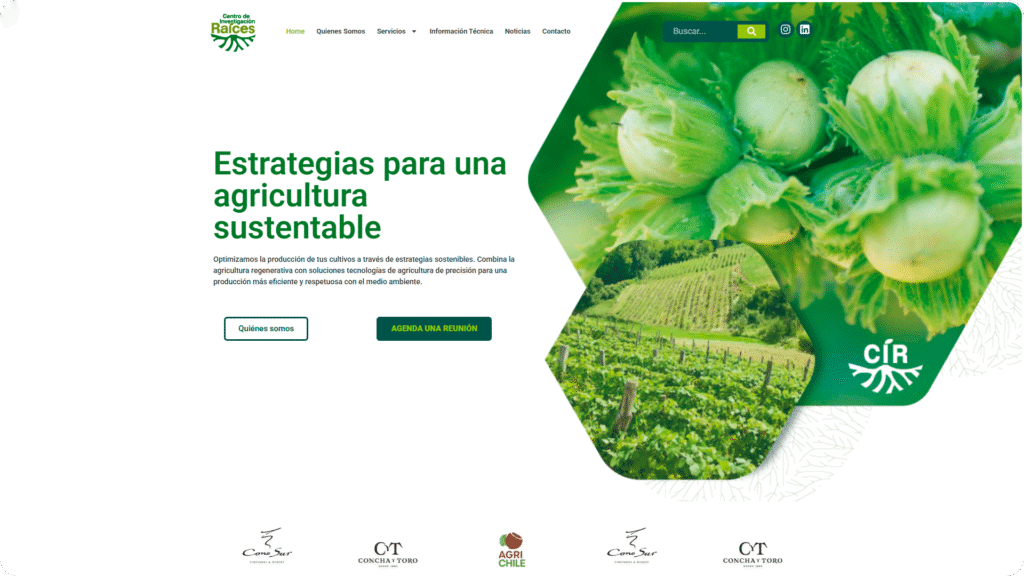 raices-web